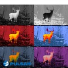 Utsolgt. PULSAR HELION 2 XP50 Pro TERMISK KIKKERT thumbnail