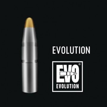  RWS Evolution 30-06 11,9g/184gr. 20 stk