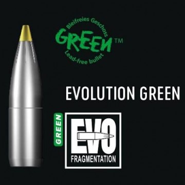 RWS Evo Green 30-06 8,8g/136gr. 20 stk.